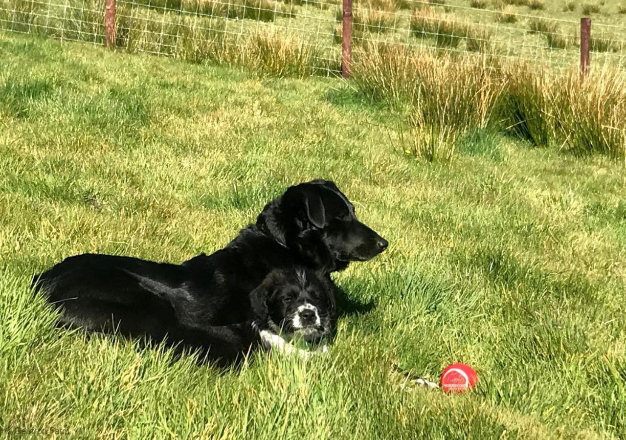 Willa The Barn At Geufron Farm - Dog Friendly - Nr Tywyn Bryn-crug Zewnętrze zdjęcie